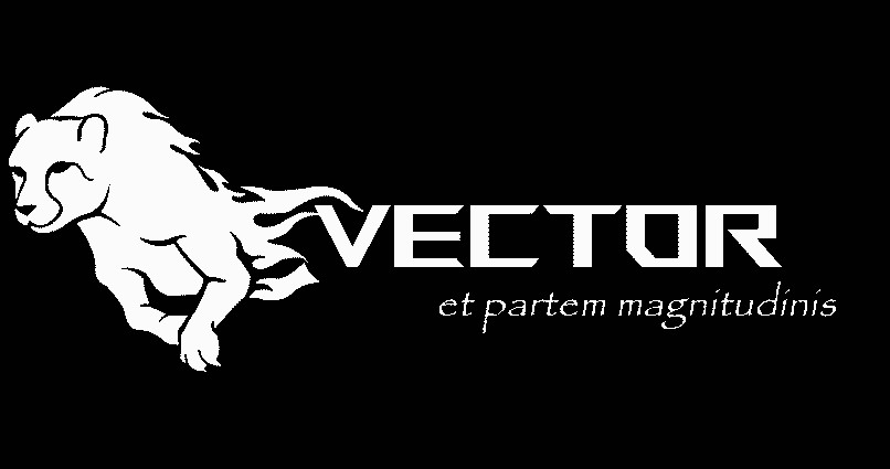 TEAM VECTOR